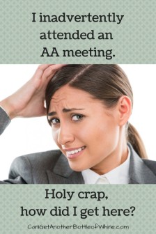 AA-Meeting-Ryan-682x1024